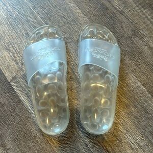 Coach size clear slides